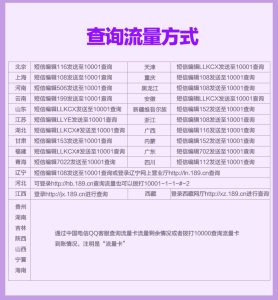 廣東電信查流量發(fā)什么短信？中國電信流量查詢指南-赫茲號卡網(wǎng)