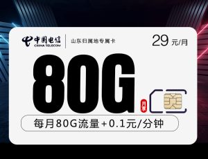 <font color=#FF0000>【已下架】</font>山東歸屬地專屬卡29元50G通用流量+30G定向流量+0.1元/分鐘-赫茲號卡網