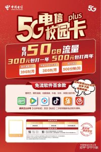 電信流量卡費(fèi)用全攻略：激活、使用與管理一網(wǎng)打盡！-赫茲號(hào)卡網(wǎng)