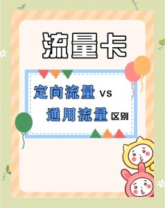 通用流量與定向流量的區別：如何選擇最適合你的流量套餐？-赫茲號卡網