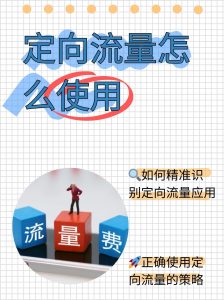 定向流量用不了？全面排查指南-赫茲號卡網