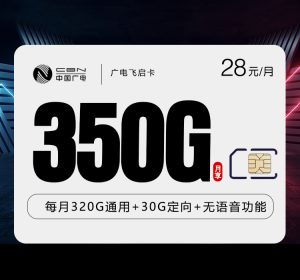 廣電飛啟卡28元350G流量（320G通用+30G定向）-赫茲號卡網
