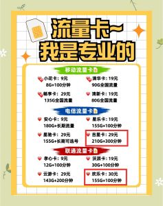 東莞流量王卡,三大運營商對比與避坑指南-赫茲號卡網(wǎng)