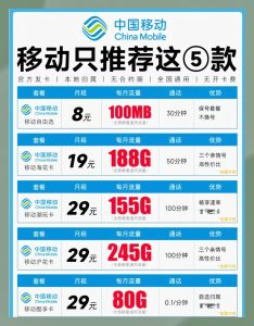 移動(dòng)純流量卡全面測評：2025年最值得入手的流量卡TOP5-赫茲號卡網(wǎng)