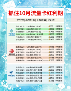 目前比較好的流量卡,純流量卡Top10榜單-赫茲號卡網