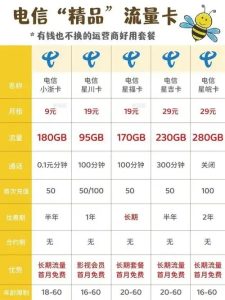 中國(guó)電信手機(jī)卡套餐全解析：從19元到399元怎么選？-赫茲號(hào)卡網(wǎng)