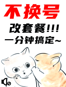 不換號改大流量套餐？小盒子親測：3種方法，1分鐘搞定-赫茲號卡網