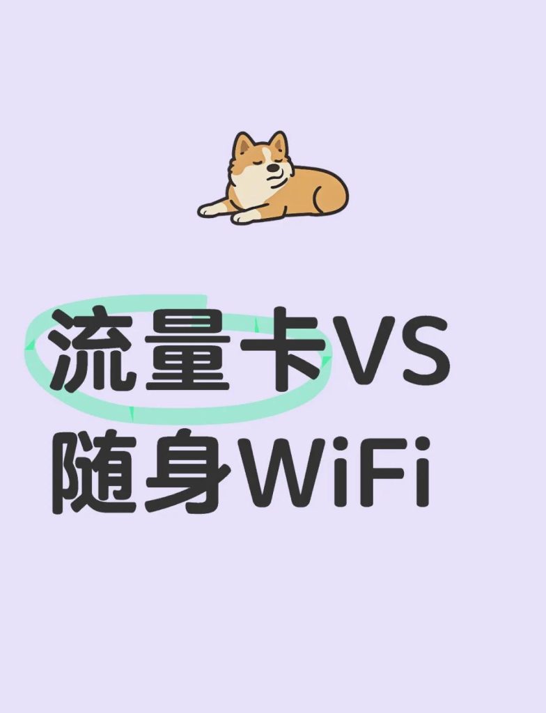 流量卡 vs 隨身WiFi：哪款才是你的最佳上網(wǎng)伴侶？-赫茲號卡網(wǎng)
