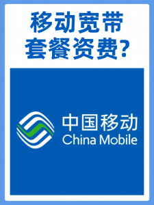 陜西移動無限流量套餐真相：別被