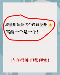 ??流量監控全攻略！3招實測防超支，5分鐘搞定！-赫茲號卡網