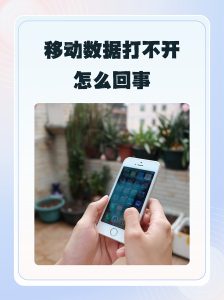 ??手機移動數據打不開？5步實測秒解決！??-赫茲號卡網