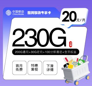四川移動省內卡20元230G流量（200G通用+30G定向）+100分鐘通話-赫茲號卡網