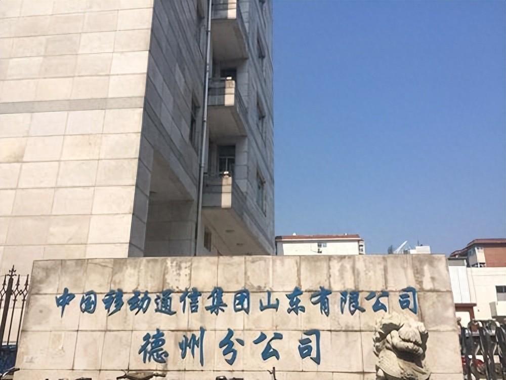 德州移動(dòng)報(bào)價(jià)最高仍中標(biāo)數(shù)據(jù)采集項(xiàng)目-赫茲號(hào)卡網(wǎng)